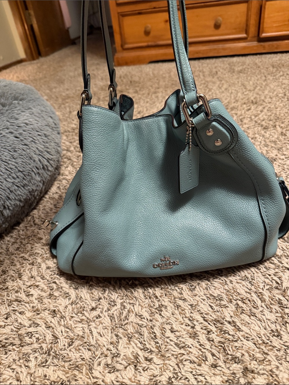 Coach Edie 31 Pebbled leather bag in sea green